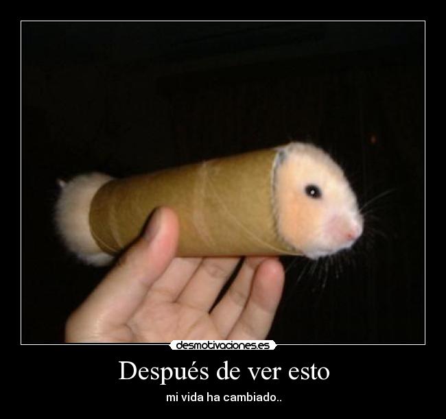 Después de ver esto - mi vida ha cambiado..