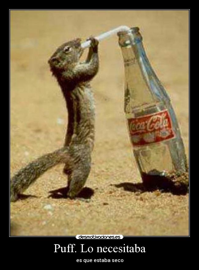 carteles ardillas desmotivaciones