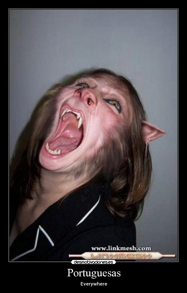 Portuguesas - Everywhere