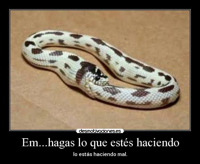 Em...hagas lo que estés haciendo - 