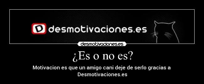 ¿Es o no es? - 