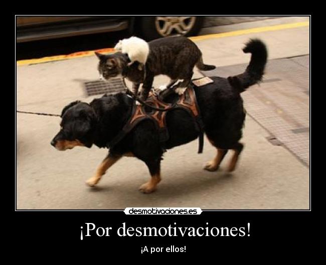 ¡Por desmotivaciones! - 