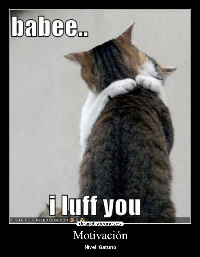 carteles gatosgato gatos motivacion lolcats lolcat gatos motivacion motivacion nivel nivel desmotivaciones