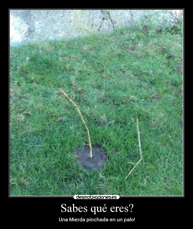 Sabes qué eres? -