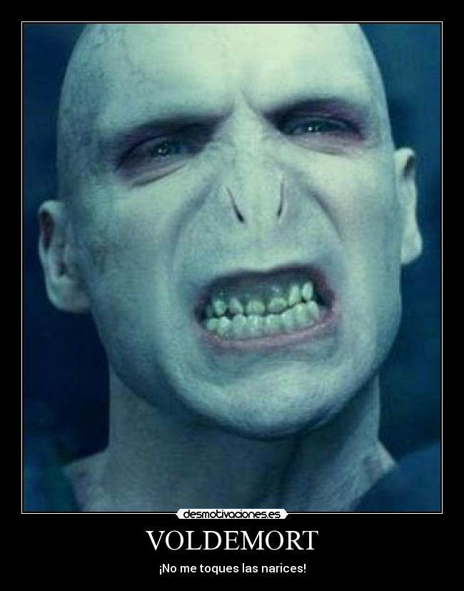VOLDEMORT - 