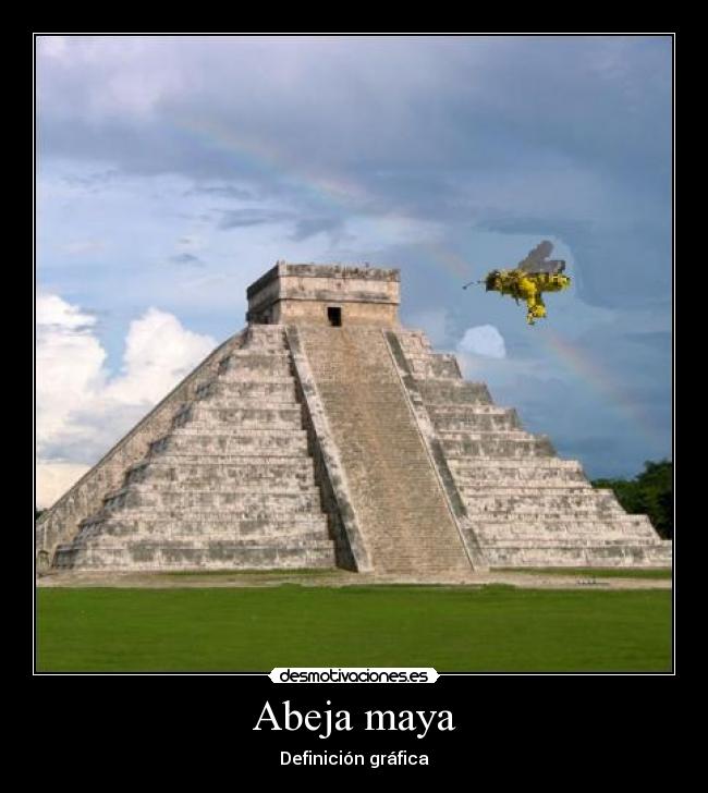 Abeja maya - 