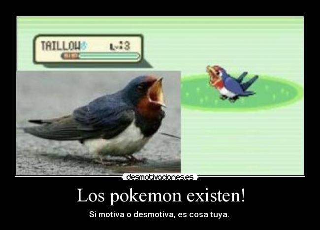 Los pokemon existen! -