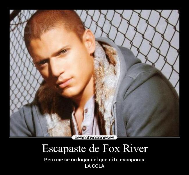 Escapaste de Fox River - 