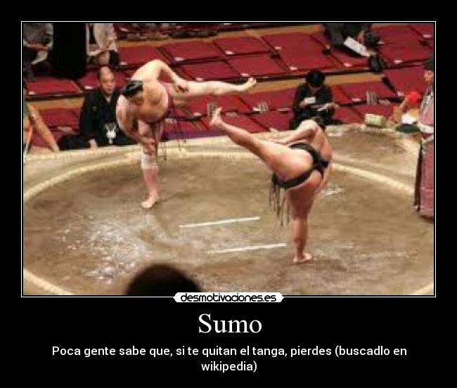 Sumo - Poca gente sabe que, si te quitan el tanga, pierdes (buscadlo en wikipedia)