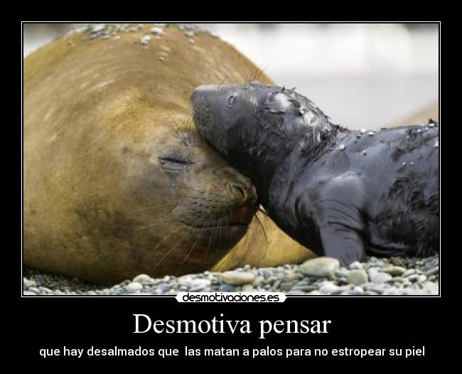 Desmotiva pensar - 