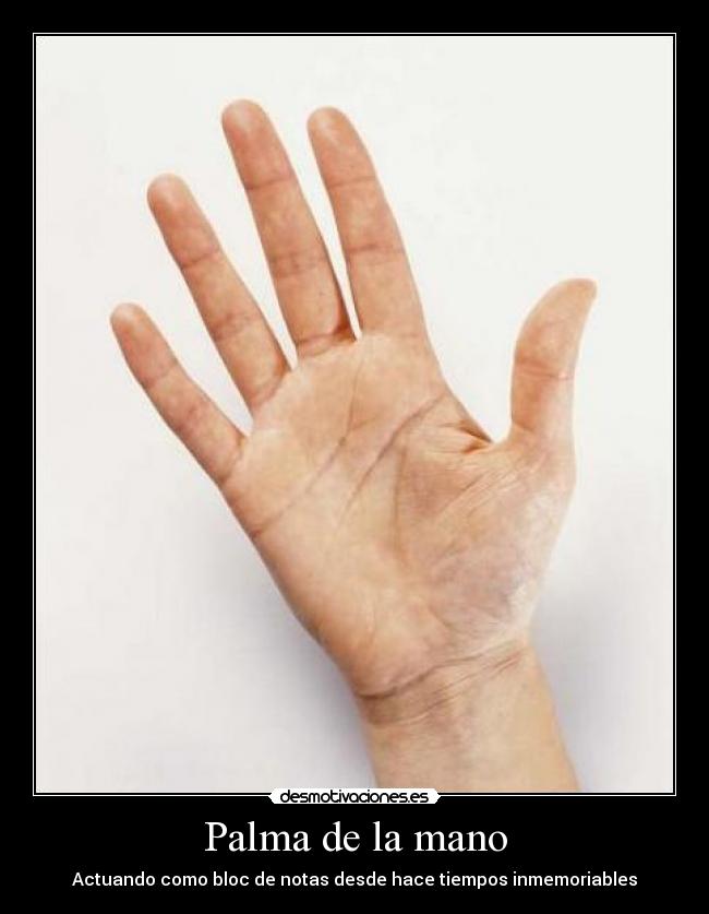 Palma de la mano -