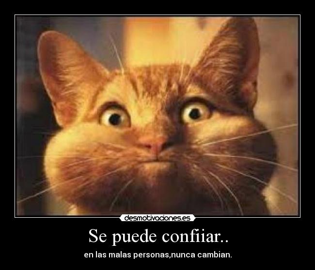 Se puede confiiar.. - en las malas personas,nunca cambian.
