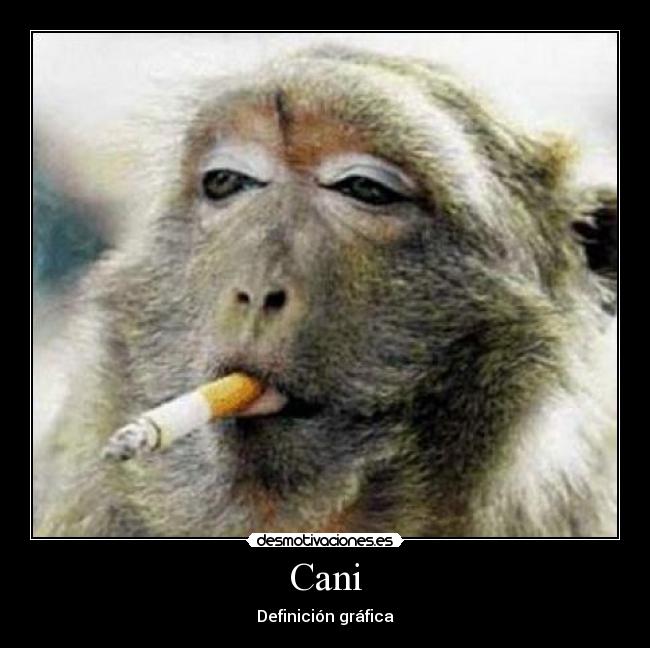 Cani -