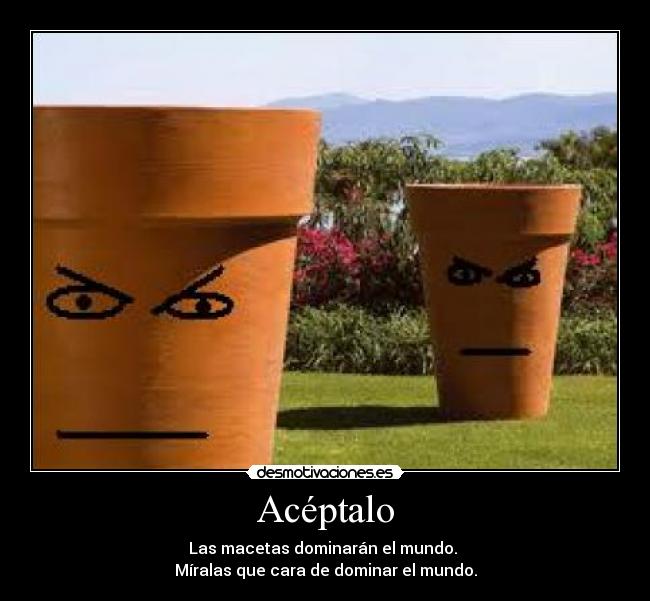Acéptalo - 