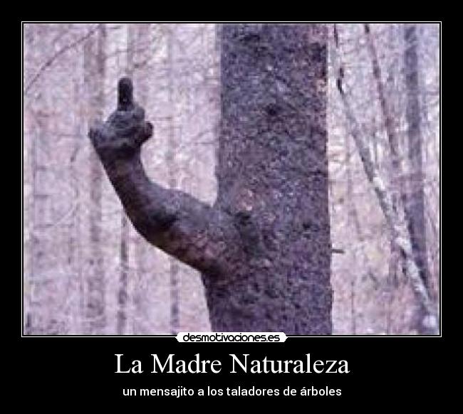 La Madre Naturaleza - un mensajito a los taladores de árboles