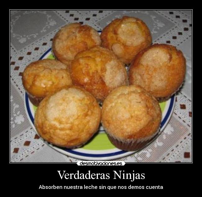 Verdaderas Ninjas - Absorben nuestra leche sin que nos demos cuenta