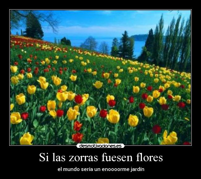 Si las zorras fuesen flores -