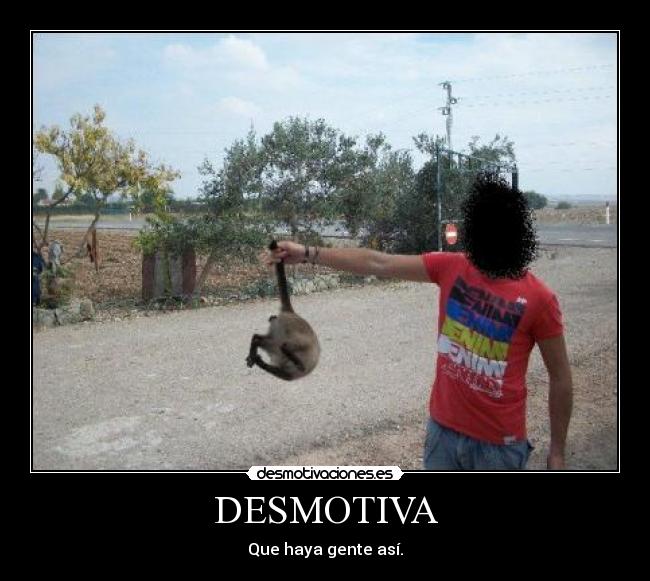 DESMOTIVA - 