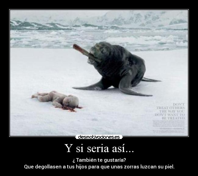 Y si seria así... -