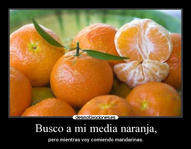 Busco a mi media naranja, -