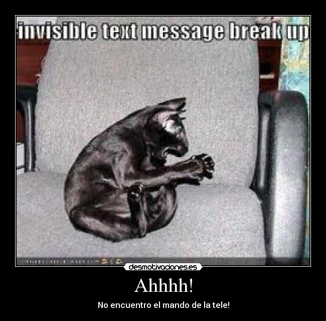 Ahhhh! - No encuentro el mando de la tele!