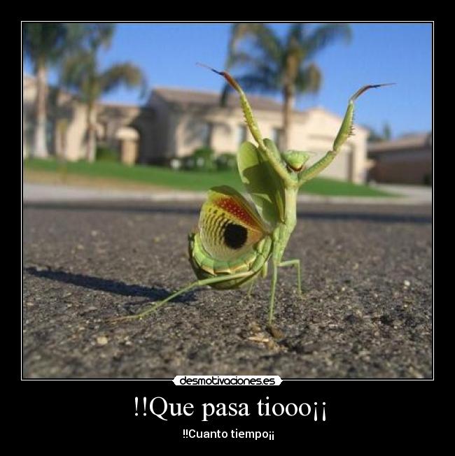 !!Que pasa tiooo¡¡ - !!Cuanto tiempo¡¡