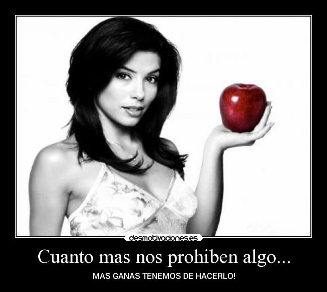 carteles the crazyy desmotivaciones