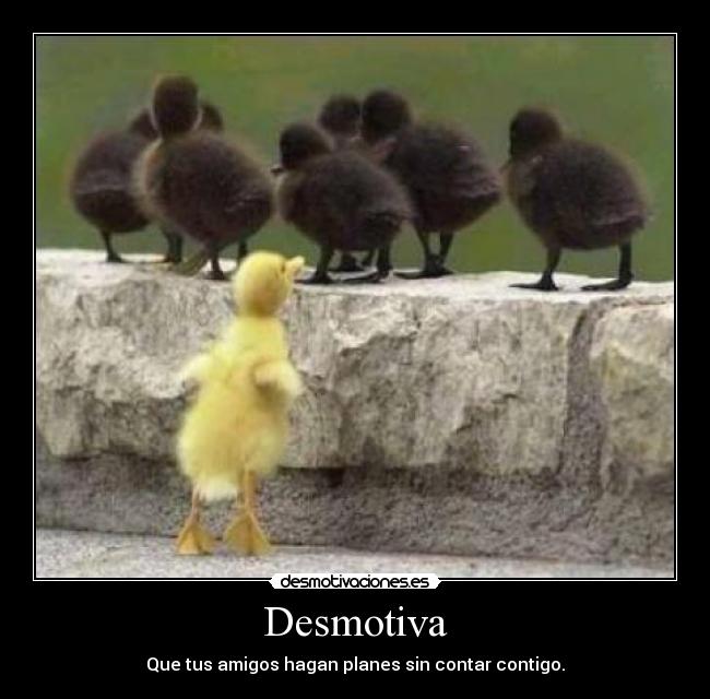 Desmotiva - Que tus amigos hagan planes sin contar contigo.