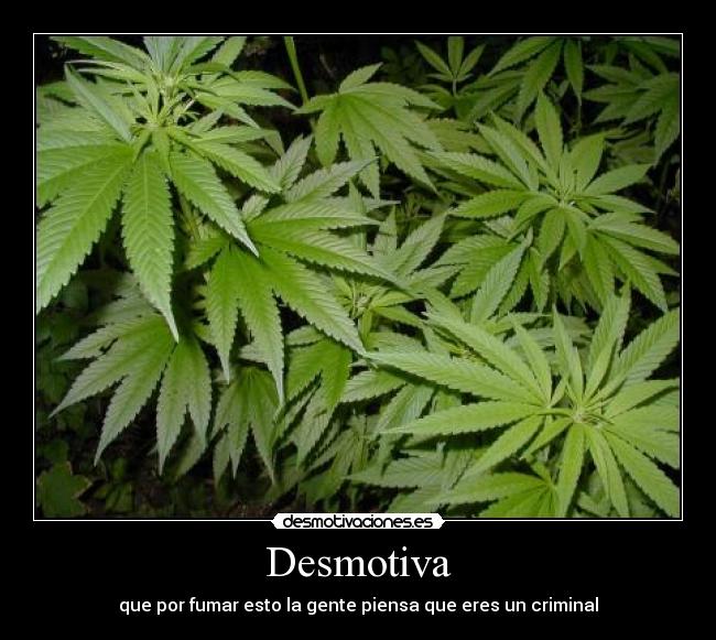 carteles mrkretos desmotivaciones