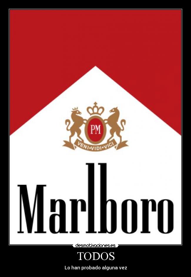 carteles tabaco desmotivaciones