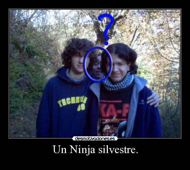 Un Ninja silvestre. - 