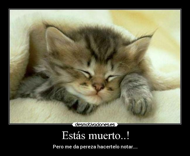 carteles estas muerto desmotivaciones