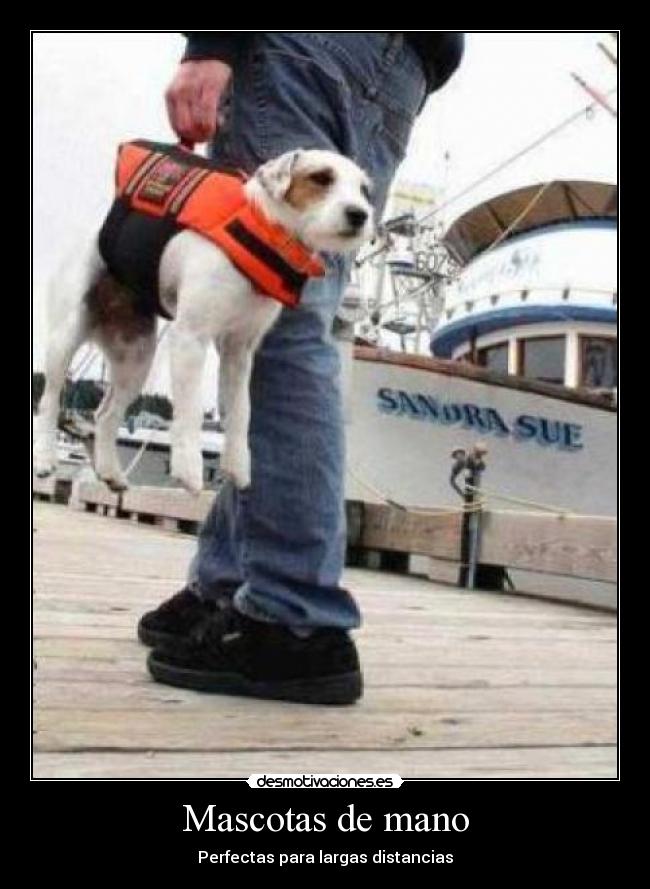 Mascotas de mano -