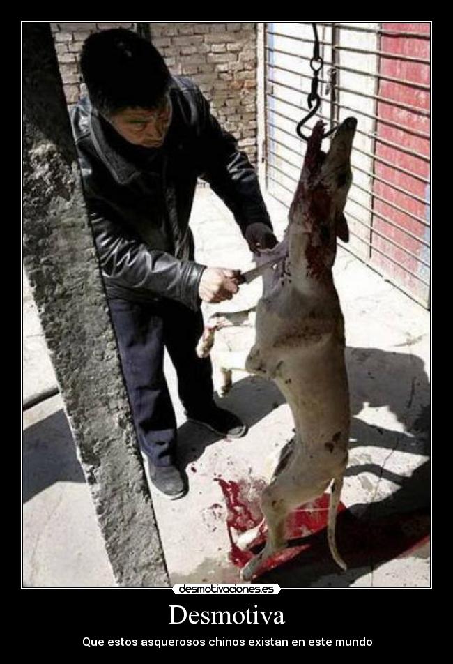 Desmotiva - Que estos asquerosos chinos existan en este mundo