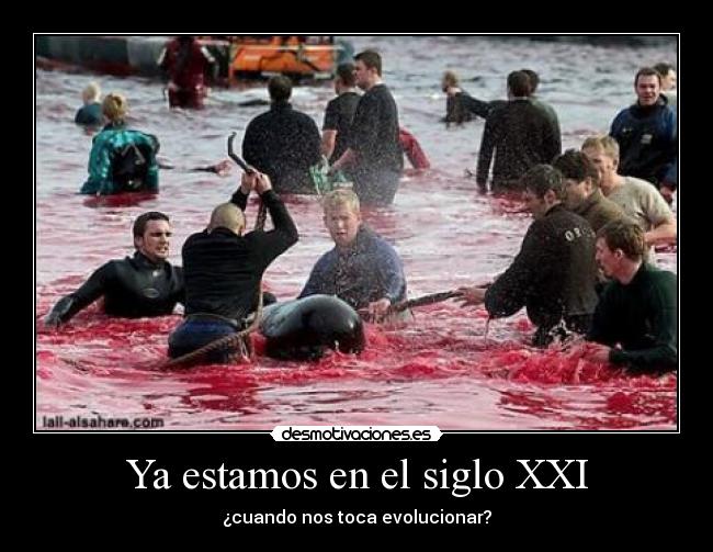 Ya estamos en el siglo XXI - ¿cuando nos toca evolucionar?