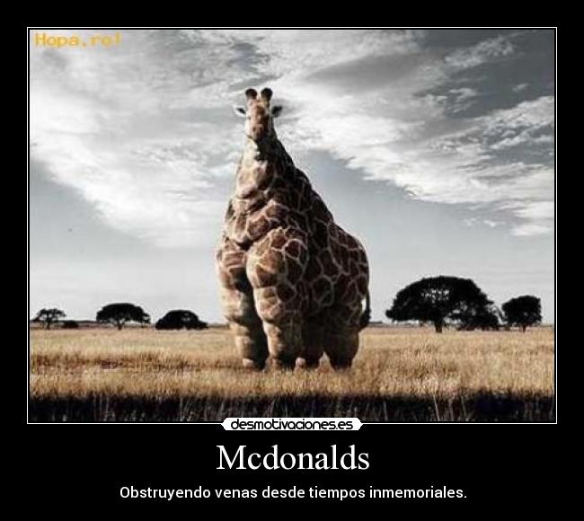 Mcdonalds - Obstruyendo venas desde tiempos inmemoriales.