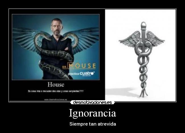 Ignorancia -