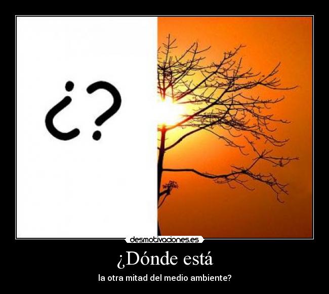 ¿Dónde está - la otra mitad del medio ambiente?
