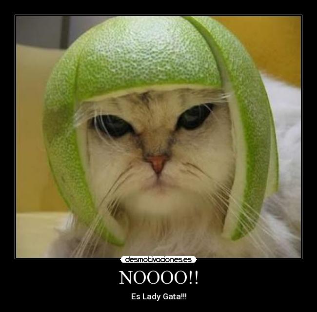 NOOOO!! - Es Lady Gata!!!