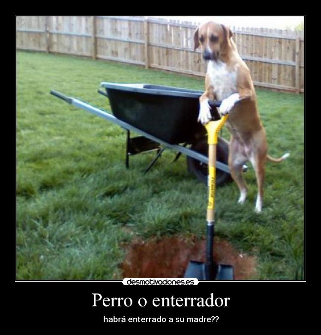 Perro o enterrador - habrá enterrado a su madre??
