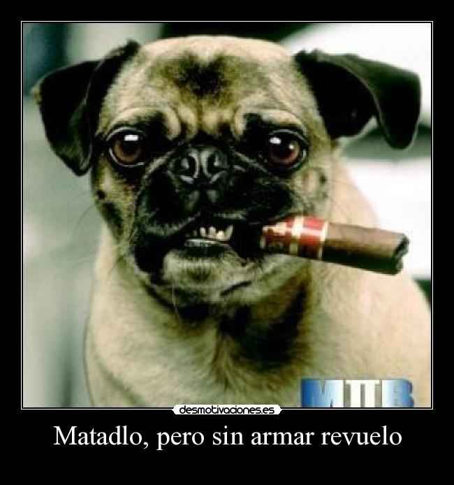 Matadlo, pero sin armar revuelo -