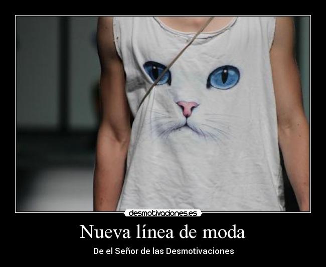 Nueva línea de moda -