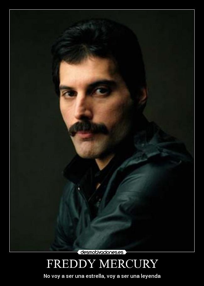 FREDDY MERCURY -