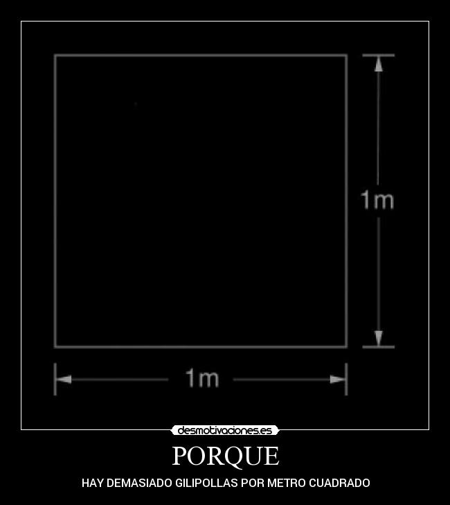 PORQUE - HAY DEMASIADO GILIPOLLAS POR METRO CUADRADO