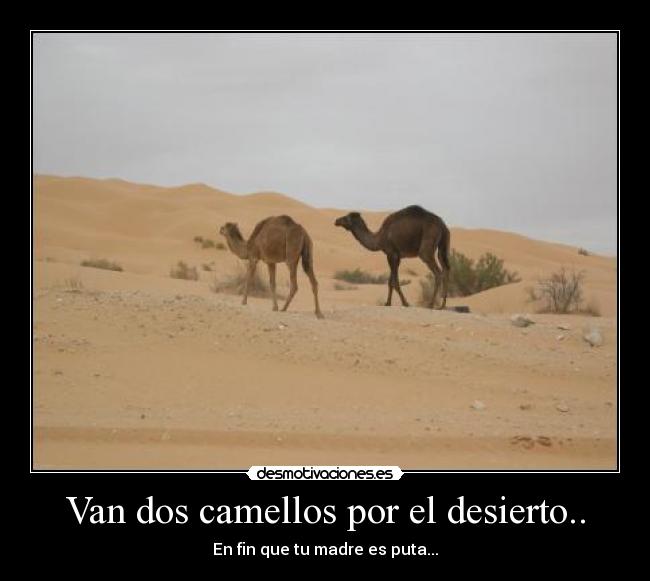 Van dos camellos por el desierto.. -