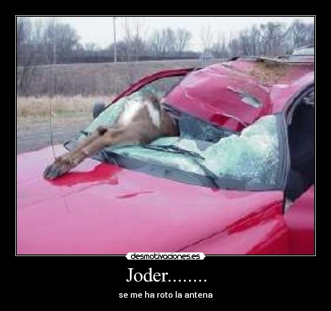 Joder........ - se me ha roto la antena