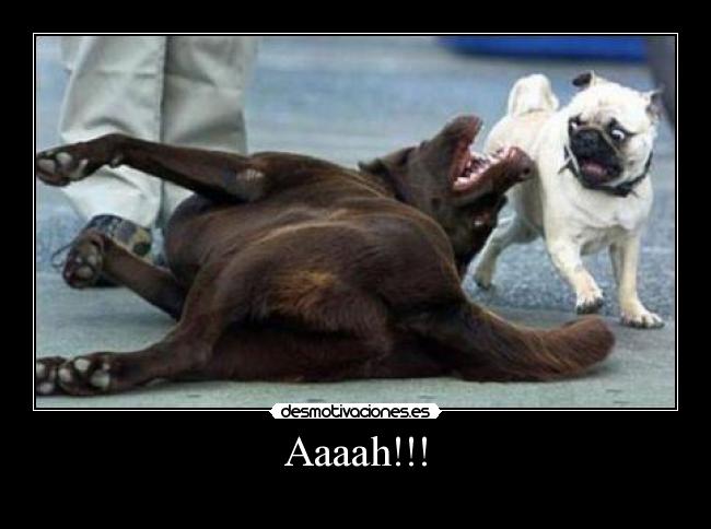 Aaaah!!! -