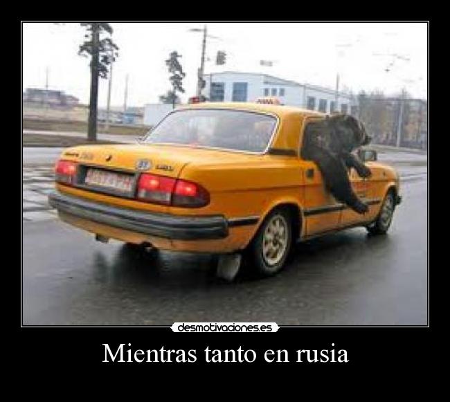 Mientras tanto en rusia -