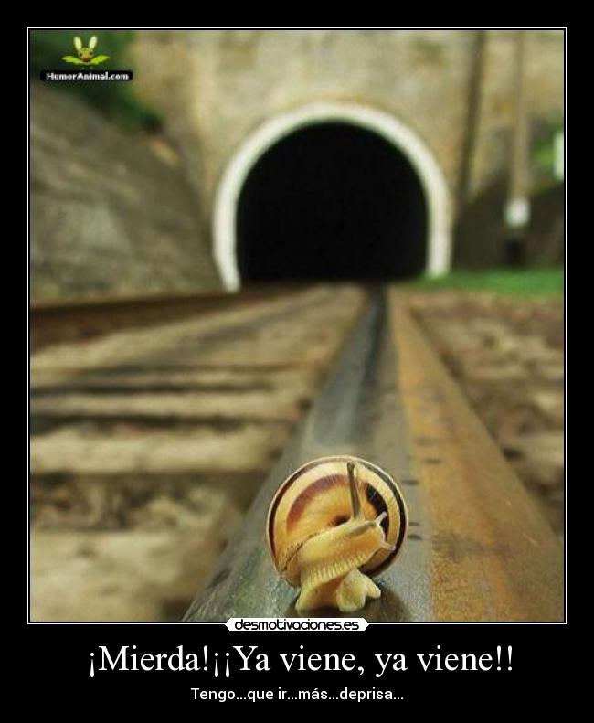 ¡Mierda!¡¡Ya viene, ya viene!! -