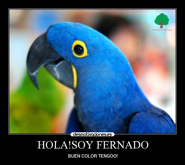 HOLA!SOY FERNADO -